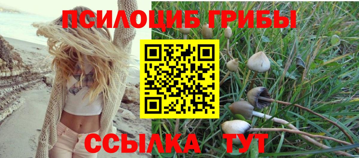 Галлюциногенные грибы Cubensis Советский