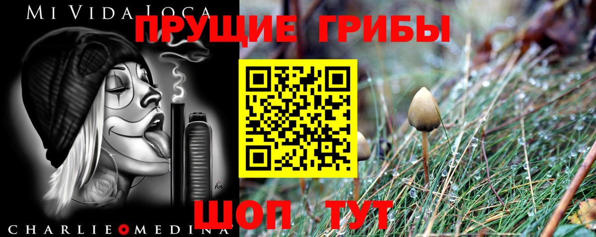 Советский  Псилоцибиновые грибы ЛСД  Вход с VPN 